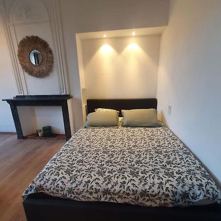 -Garrigue- Face A La Cite Medievale Studio Terrasse Classe 4☆ Carcassonne Ngoại thất bức ảnh